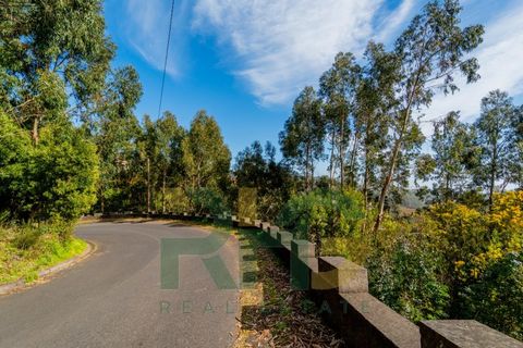 Terra a Camacha, Madeira, Camacha - € 27.500 | Ref: RHG26009 - foto 3