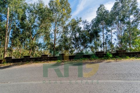 Terra a Camacha, Madeira, Camacha - € 27.500 | Ref: RHG26009 - foto 4