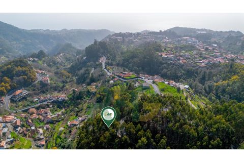 Terra a Camacha, Madeira, Camacha - € 27.500 | Ref: RHG26009 - foto 7