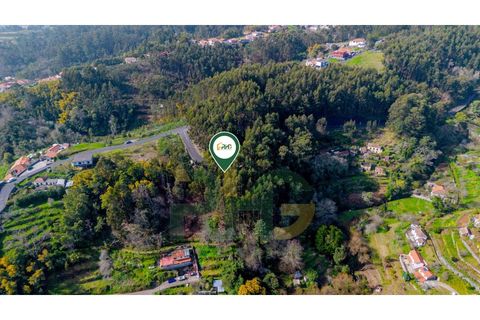Terra a Camacha, Madeira, Camacha - € 27.500 | Ref: RHG26009 - foto 8
