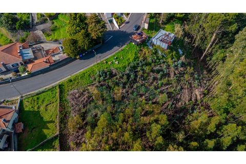 Terra a Camacha, Madeira, Camacha - € 27.500 | Ref: RHG26008 - foto 3