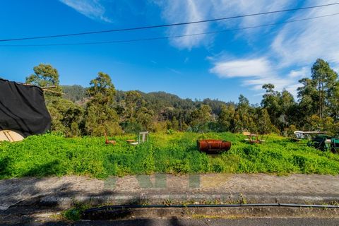 Terra a Camacha, Madeira, Camacha - € 27.500 | Ref: RHG26008 - foto 4