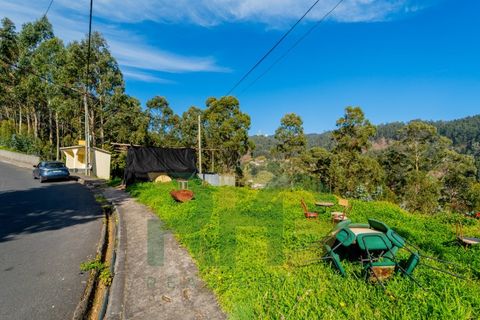 Terra a Camacha, Madeira, Camacha - € 27.500 | Ref: RHG26008 - foto 5