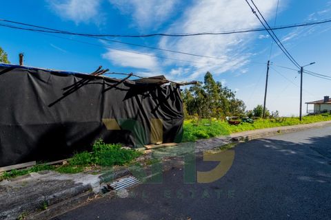 Terra a Camacha, Madeira, Camacha - € 27.500 | Ref: RHG26008 - foto 6