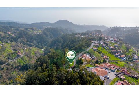 Terra a Camacha, Madeira, Camacha - € 27.500 | Ref: RHG26008 - foto 7