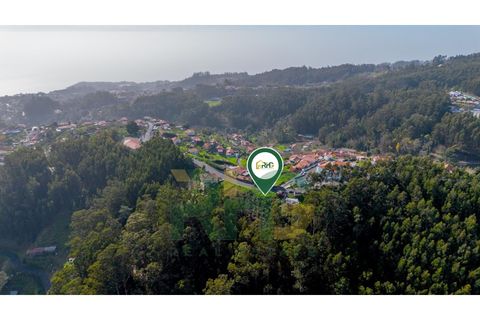 Terra a Camacha, Madeira, Camacha - € 27.500 | Ref: RHG26008 - foto 8