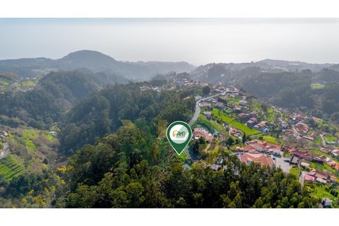 Terra a Camacha, Madeira, Camacha - € 27.500 | Ref: RHG26008 - foto 9