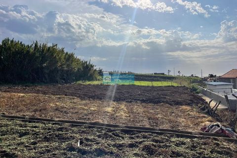 Landejendom i Ponta do Pargo, Madeira, Ponta do Pargo - € 125.000 | Ref: 1736 - foto 6