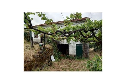 Farm i Gondufe, Viana do Castelo, Gondufe - € 170.000 | Ref: MDS3285 - foto 1