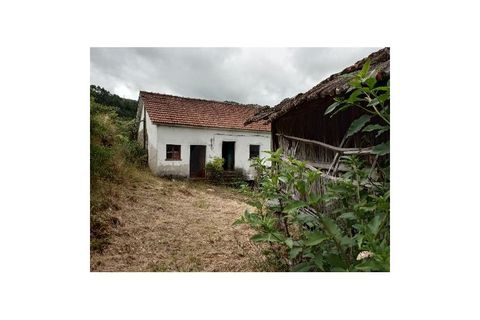 Farm i Gondufe, Viana do Castelo, Gondufe - € 170.000 | Ref: MDS3285 - foto 2