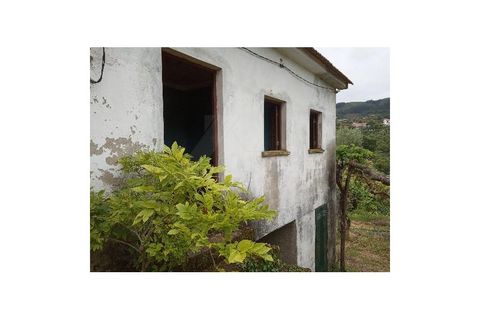Farm i Gondufe, Viana do Castelo, Gondufe - € 170.000 | Ref: MDS3285 - foto 3