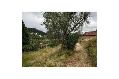 Farm i Gondufe, Viana do Castelo, Gondufe - € 170.000 | Ref: MDS3285 - foto 5