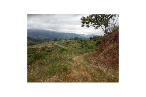 Farm i Gondufe, Viana do Castelo, Gondufe - € 170.000 | Ref: MDS3285 - foto 7