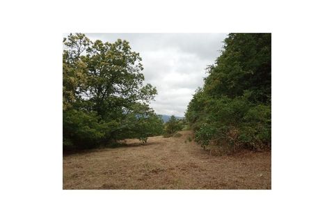 Farm i Gondufe, Viana do Castelo, Gondufe - € 170.000 | Ref: MDS3285 - foto 8