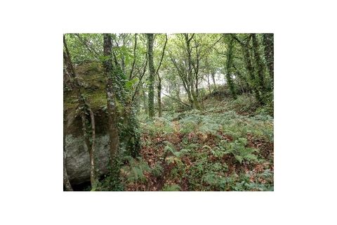 Farm i Gondufe, Viana do Castelo, Gondufe - € 170.000 | Ref: MDS3285 - foto 9