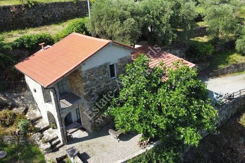 Villa i Vallebona, Imperia, Vallebona - € 230.000 | Ref: iv1274 - foto 1