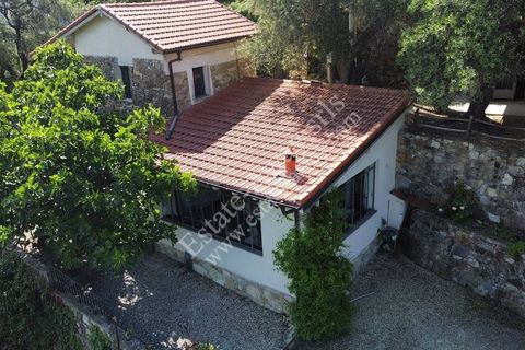 Villa i Vallebona, Imperia, Vallebona - € 230.000 | Ref: iv1274 - foto 16