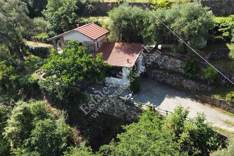 Villa i Vallebona, Imperia, Vallebona - € 230.000 | Ref: iv1274 - foto 17