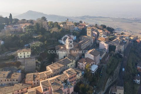 Erhvervsejendom i Bertinoro, Forli-Cesena, Bertinoro - € 75.000 | Ref: CBI099-1528-520797 - foto 4