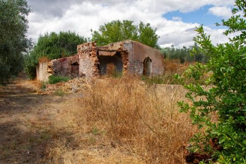 Farm i Olhao, Faro, Olhao - € 2.950.000 | Ref: 1LS02325 - foto 30