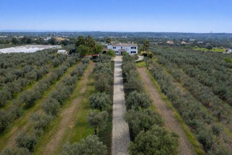 Farm i Olhao, Faro, Olhao - € 2.950.000 | Ref: 1LS02325 - foto 24