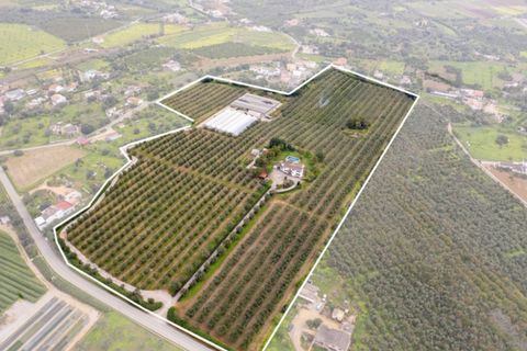 Farm i Olhao, Faro, Olhao - € 2.950.000 | Ref: 1LS02325 - foto 32
