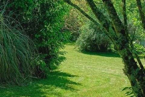 Landejendom i Limeyrat, Dordogne, Limeyrat - € 147.000 | Ref: 340939162082 - foto 18