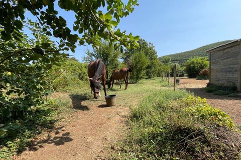 Villa i Cendras, Gard, Cendras - € 208.000 | Ref: 340934659315 - foto 27