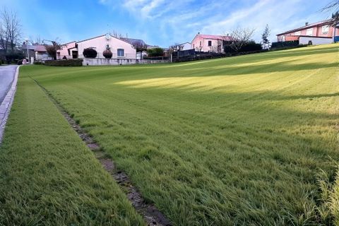 Terra a Mirandol-Bourgnounac, Tarn, Mirandol-Bourgnounac - € 28.000 | Ref: 65596EDF42BF49A9 - foto 2