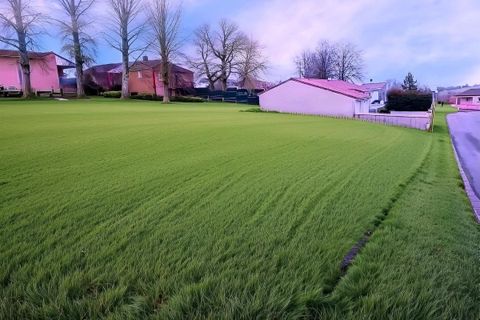 Terra a Mirandol-Bourgnounac, Tarn, Mirandol-Bourgnounac - € 28.000 | Ref: 65596EDF42BF49A9 - foto 3