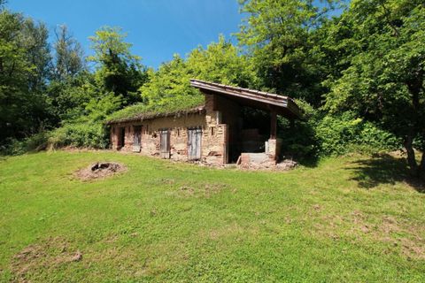 Villa i Montauban, Tarn-et-Garonne, Montauban - € 695.000 | Ref: DB26558EAA2E4E89 - foto 15