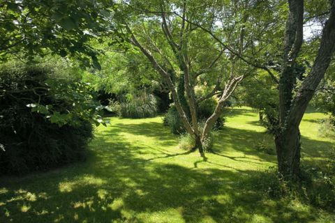 Landejendom i Plavilla, Aude, Plavilla - € 546.000 | Ref: 7AA3E0B0C6CB4ED4 - foto 3