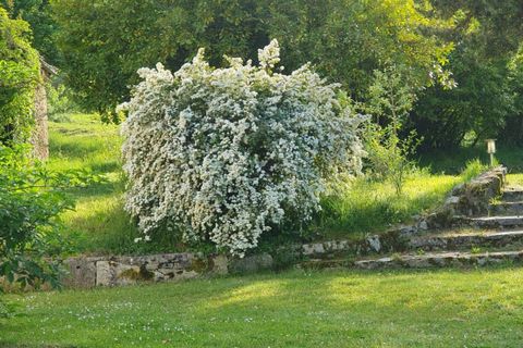 Landejendom i Ventenac, Ariege, Ventenac - € 1.160.000 | Ref: 26E9178636AB45A8 - foto 8