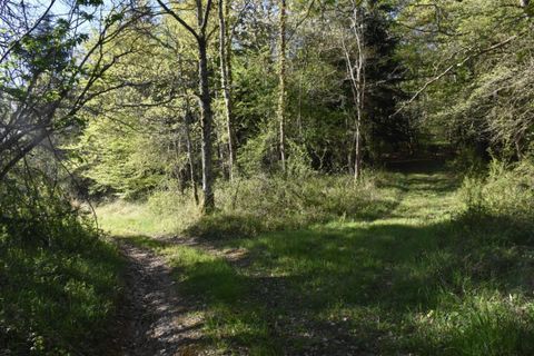 Landejendom i Ventenac, Ariege, Ventenac - € 1.160.000 | Ref: 26E9178636AB45A8 - foto 9