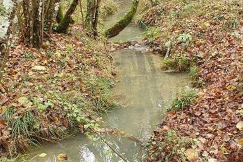 Landejendom i Ventenac, Ariege, Ventenac - € 1.160.000 | Ref: 26E9178636AB45A8 - foto 10