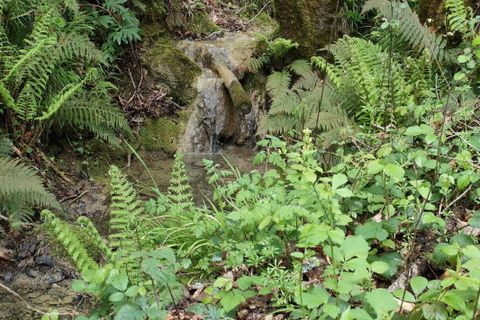 Landejendom i Ventenac, Ariege, Ventenac - € 1.160.000 | Ref: 26E9178636AB45A8 - foto 18