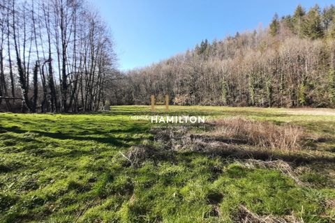 Farm hus i Albi, Tarn, Albi - € 835.000 | Ref: 8D5CB92F4B4A4B01 - foto 17