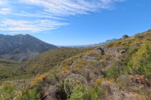 Terreno en Tarbena, Alicante, Tarbena - € 189.000 | Ref: AG26014 - photo 2