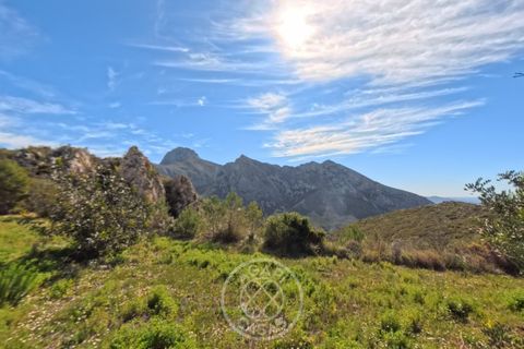 Terreno en Tarbena, Alicante, Tarbena - € 189.000 | Ref: AG26014 - photo 4