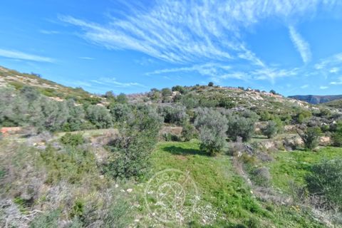 Terreno en Tarbena, Alicante, Tarbena - € 189.000 | Ref: AG26014 - photo 5