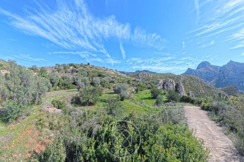 Terreno en Tarbena, Alicante, Tarbena - € 189.000 | Ref: AG26014 - photo 6