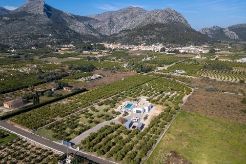 Villa i Tormos, Alicante, Tormos - € 825.000 | Ref: NCB8565 - foto 48