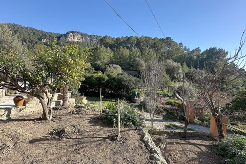 Masia a Andratx, Mallorca, Andratx - € 1.325.000 | Ref: HGCE-190165 - foto 26