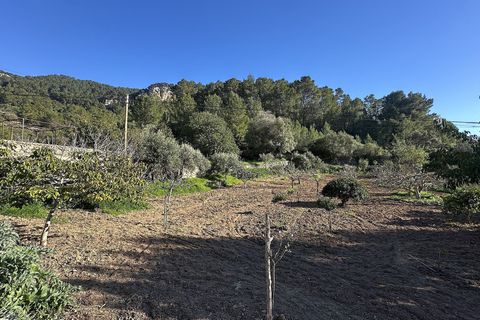 Masia a Andratx, Mallorca, Andratx - € 1.325.000 | Ref: HGCE-190165 - foto 28