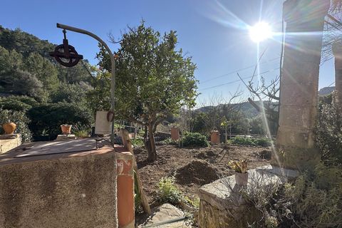Masia a Andratx, Mallorca, Andratx - € 1.325.000 | Ref: HGCE-190165 - foto 30