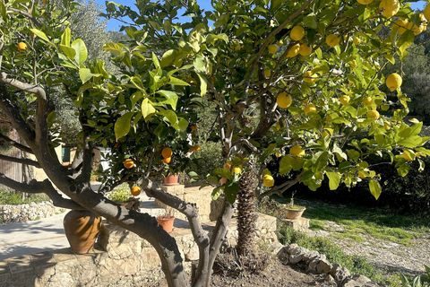 Masia a Andratx, Mallorca, Andratx - € 1.325.000 | Ref: HGCE-190165 - foto 31