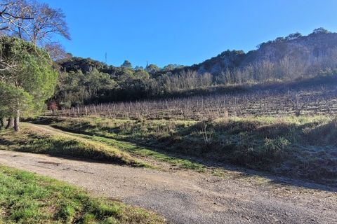 Erhvervsejendom i Beziers, Herault, Beziers - € 1.275.000 | Ref: b1275000ee - foto 6