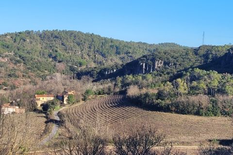 Erhvervsejendom i Beziers, Herault, Beziers - € 1.275.000 | Ref: b1275000ee - foto 9