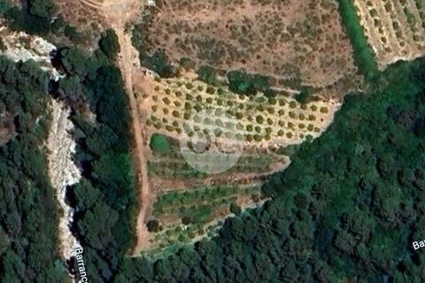 Helårsgrund i Vall De Gallinera, Alicante, Vall De Gallinera - € 45.000 | Ref: AS077/6904 - foto 1