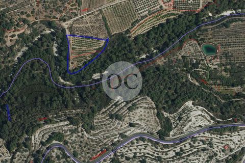 Helårsgrund i Vall De Gallinera, Alicante, Vall De Gallinera - € 45.000 | Ref: AS077/6904 - foto 2